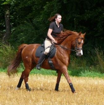 SRF Barolo